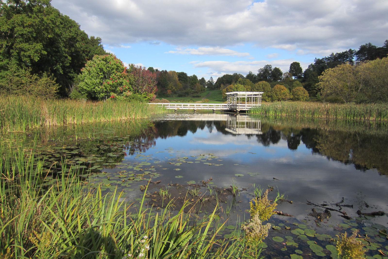 Serene wetland with a boardwalk and covered structure under a partly cloudy sky.