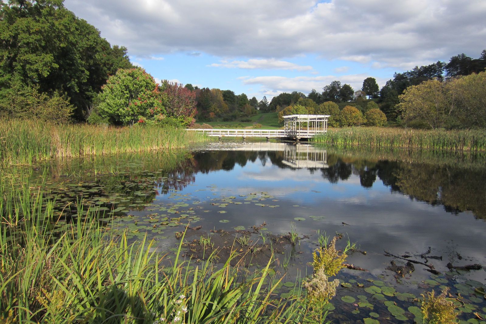 Serene wetland with a boardwalk and covered structure under a partly cloudy sky. - Houston Pond loop from Cornell University