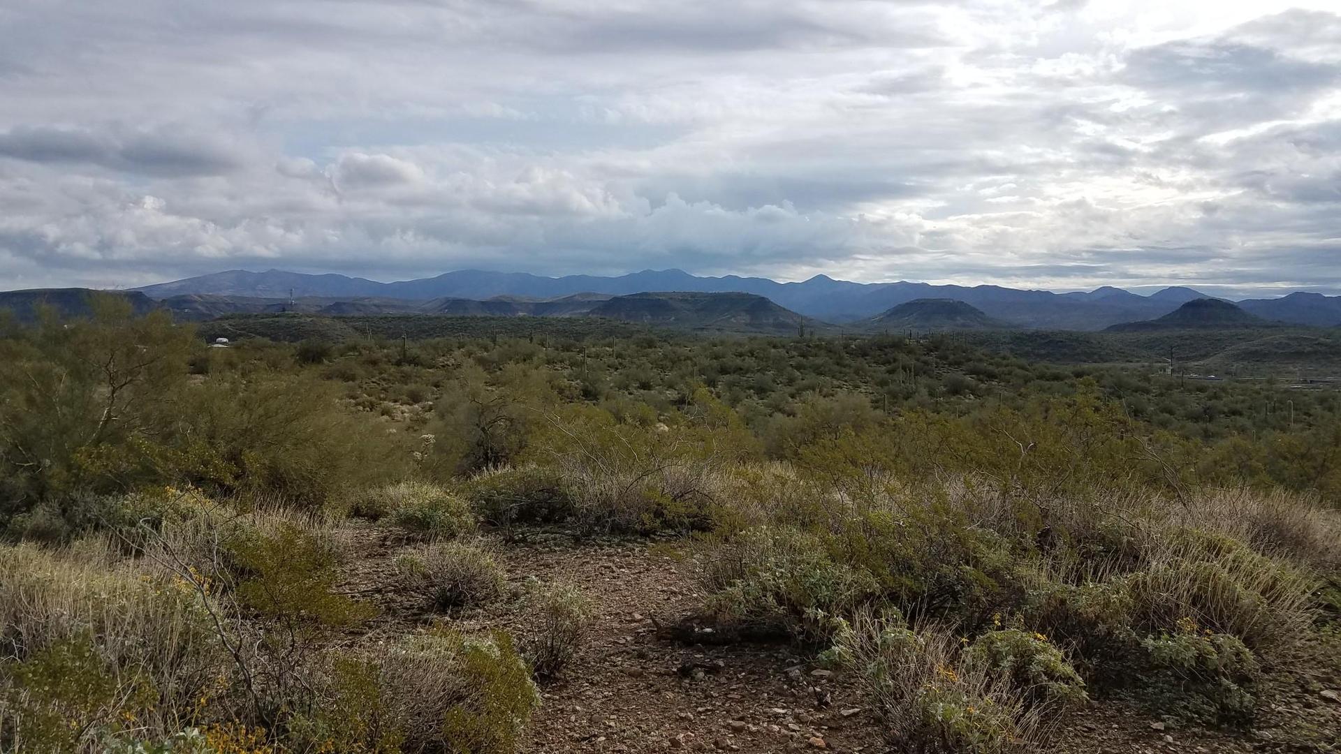 Wide view of a vast desert landscape with distant mountains under cloudy skies.