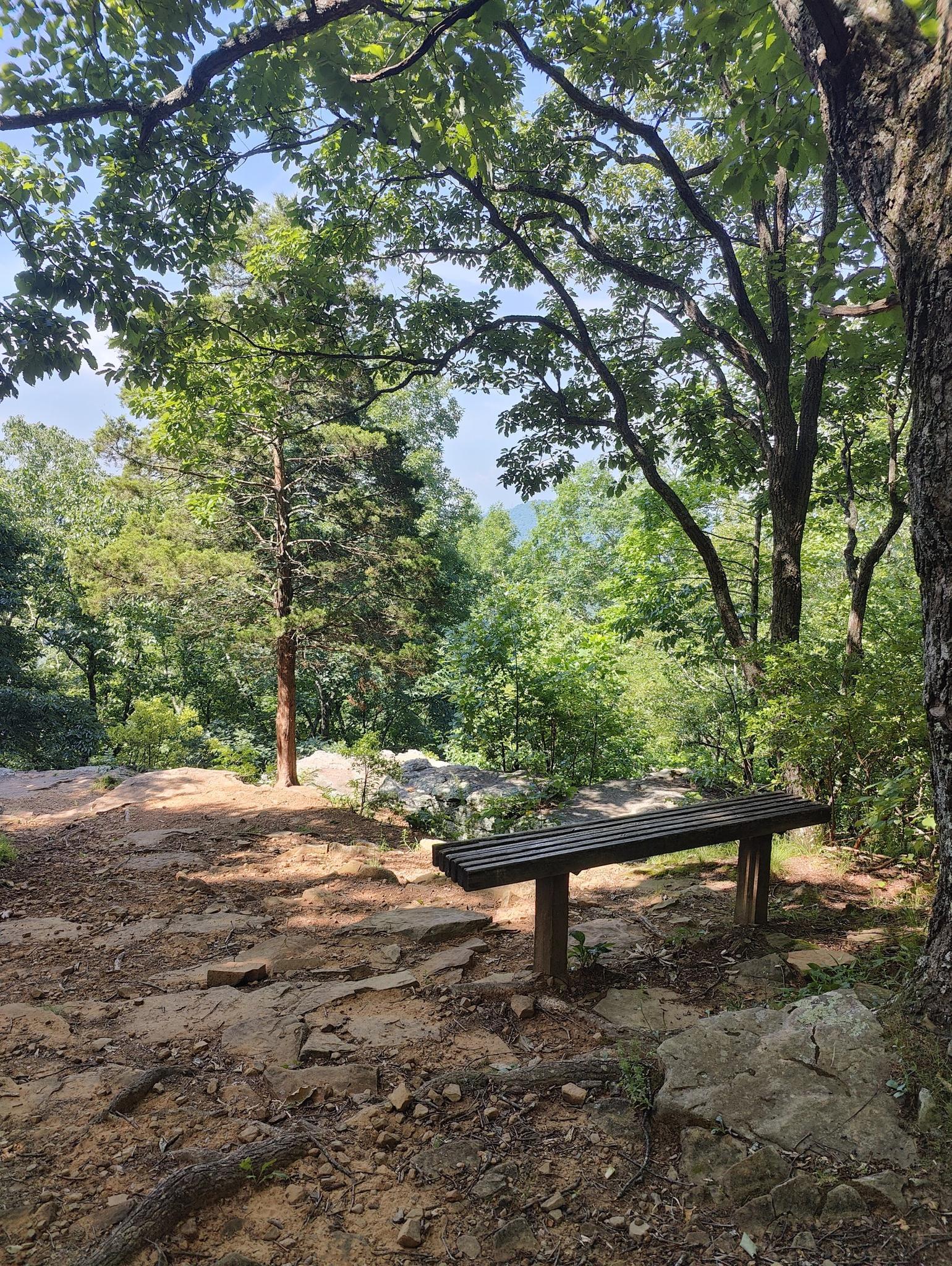 A wooden bench sits on a rocky forest overlook, surrounded by lush green trees.