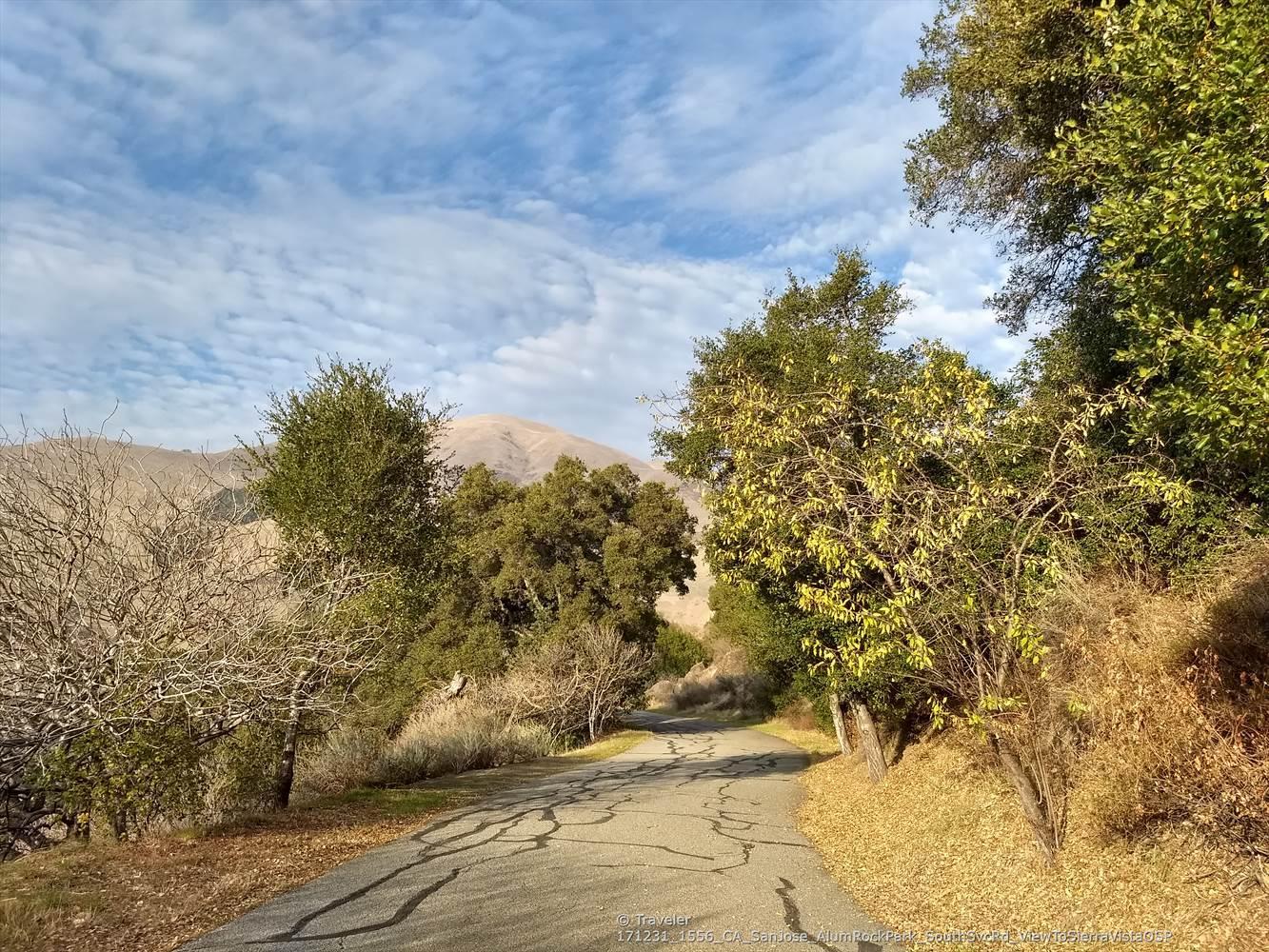Cracked paved road lined with trees, leading towards distant mountains under a cloudy sky.