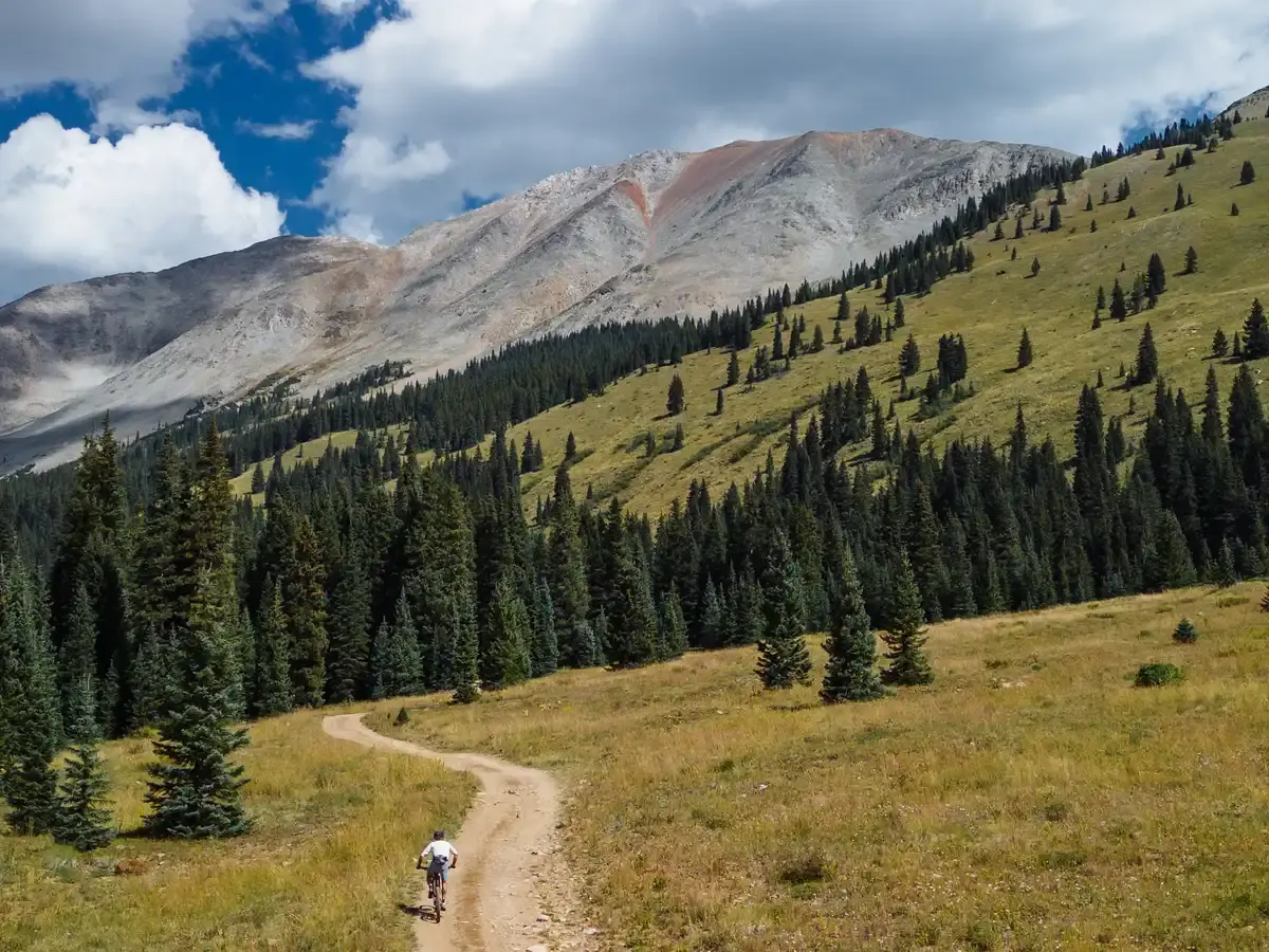 Mountain biker on a dirt trail, surrounded by green slopes and rocky peaks.