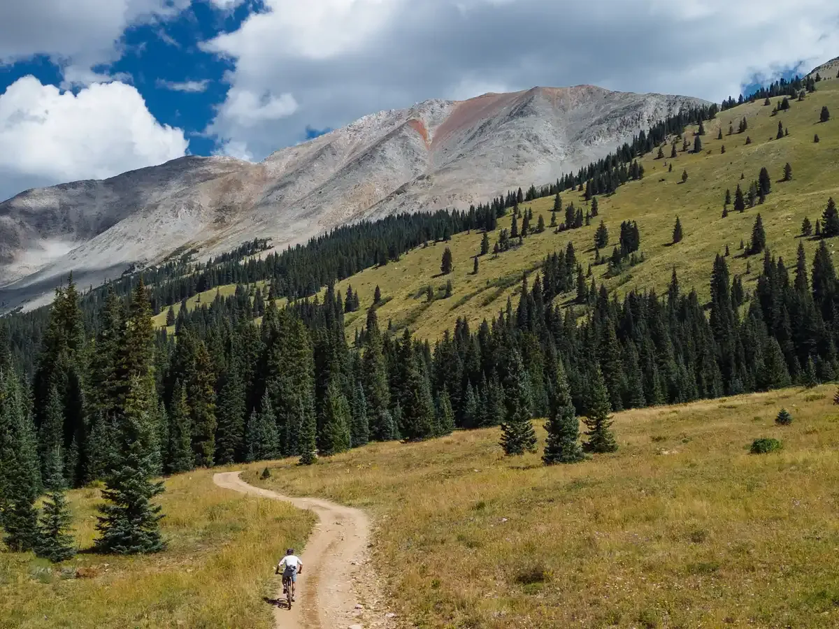 Mountain biker on a dirt trail, surrounded by green slopes and rocky peaks. - Middle and Lower Cement Creek Trail