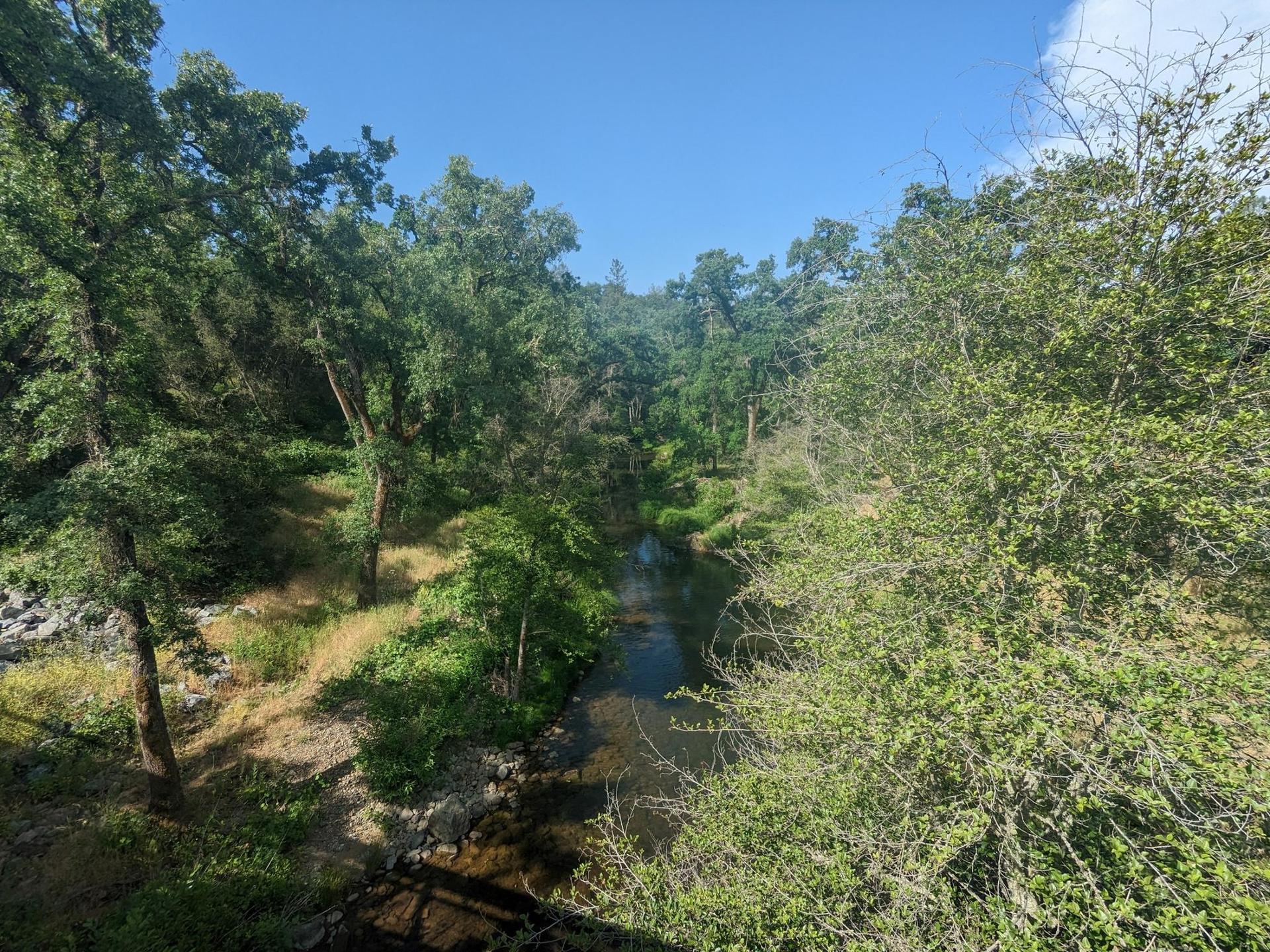 A narrow river flows through a dense, green forest on a sunny day.