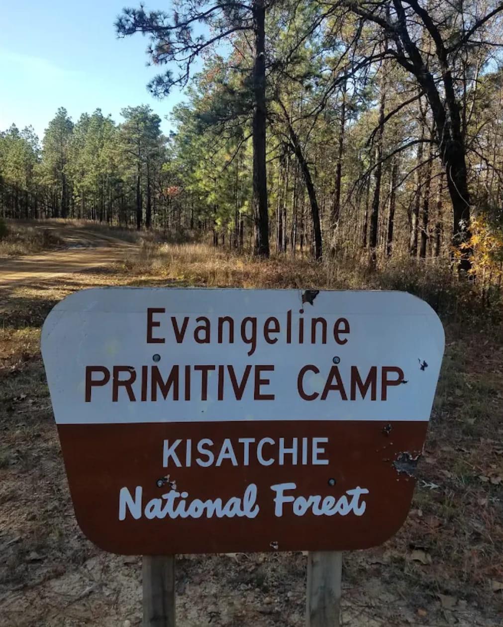 A weathered brown and white sign for a primitive camp in a forest.