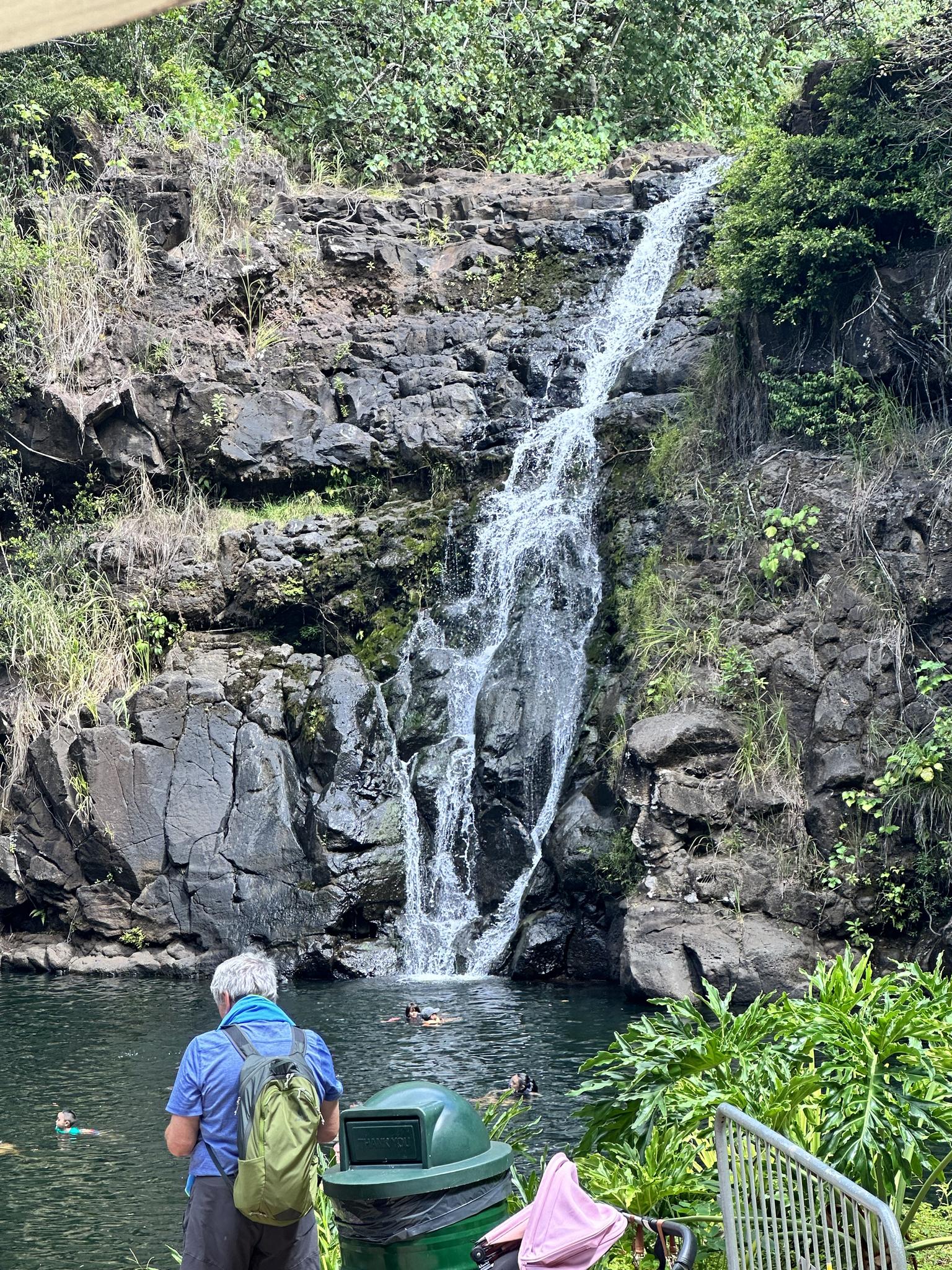 Person views a tall waterfall cascading into a natural pool surrounded by rocks.