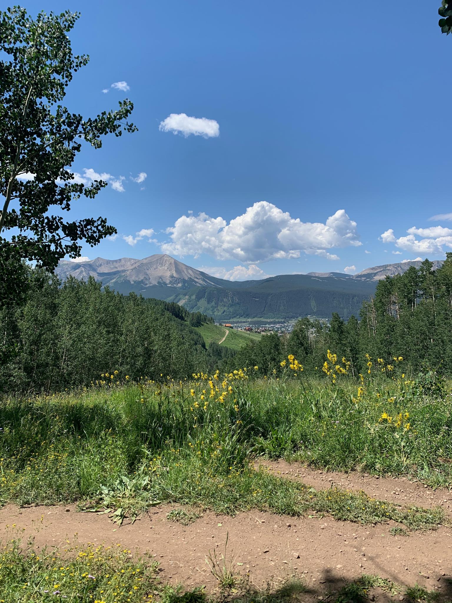 Sunny mountain vista over green hills, yellow wildflowers, and distant peaks.