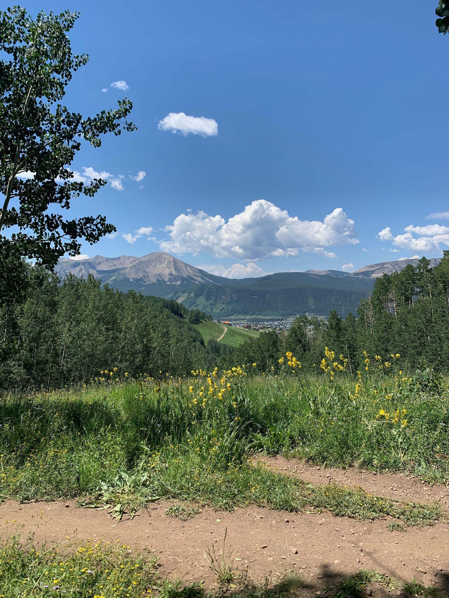 Sunny mountain vista over green hills, yellow wildflowers, and distant peaks. - Skyland-Bridges Loop