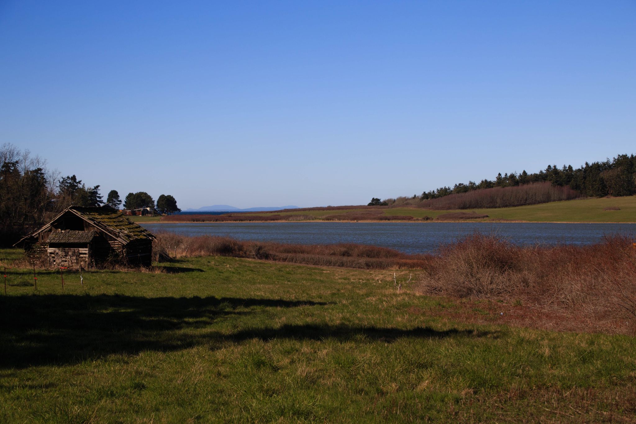 An old wooden shed sits in a sunny field beside a calm body of water. - Port Townsend loop