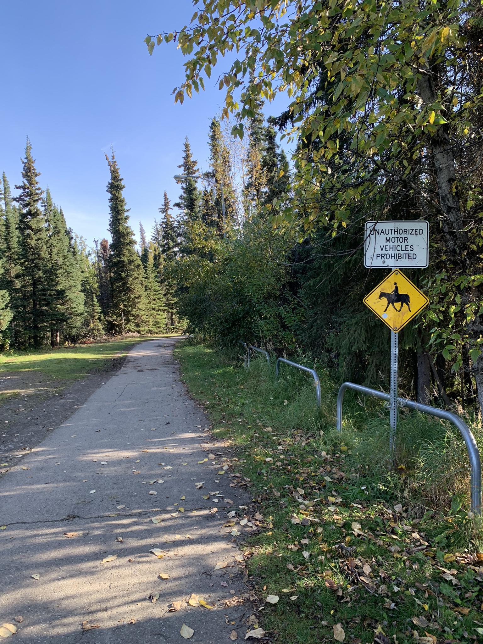 Paved path through a forest with signs, bright daylight, and shadows.
