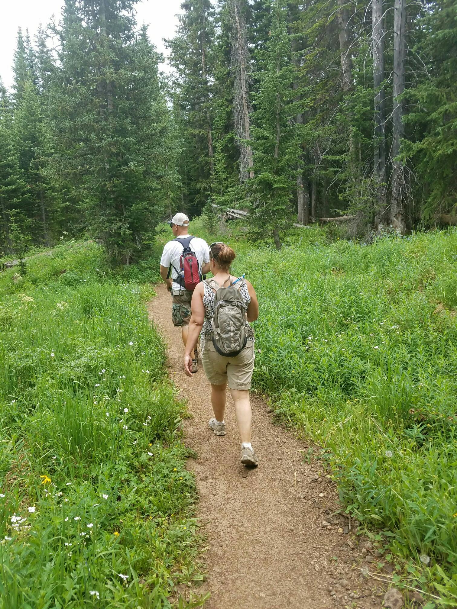 Two hikers with backpacks walk on a dirt trail through a green forest.