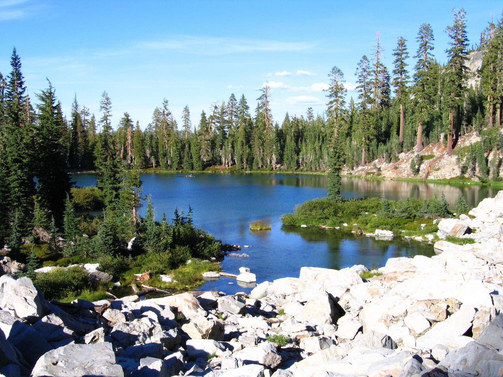 A serene blue lake surrounded by dense pine trees and white rocks.