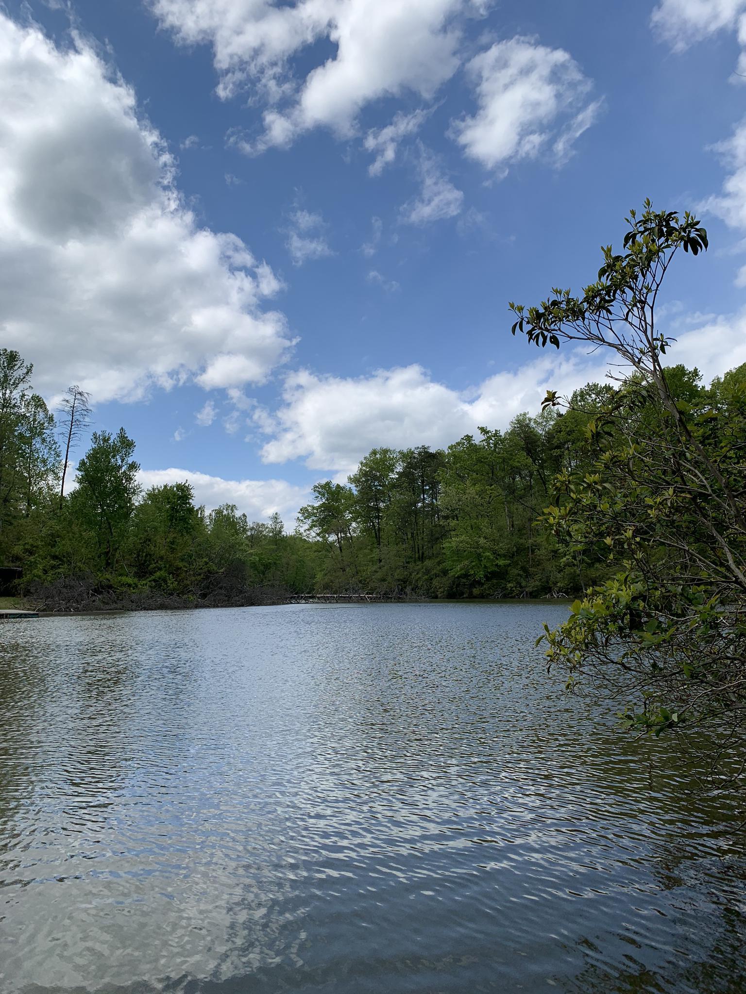 A calm lake reflecting a partly cloudy sky, surrounded by green trees.