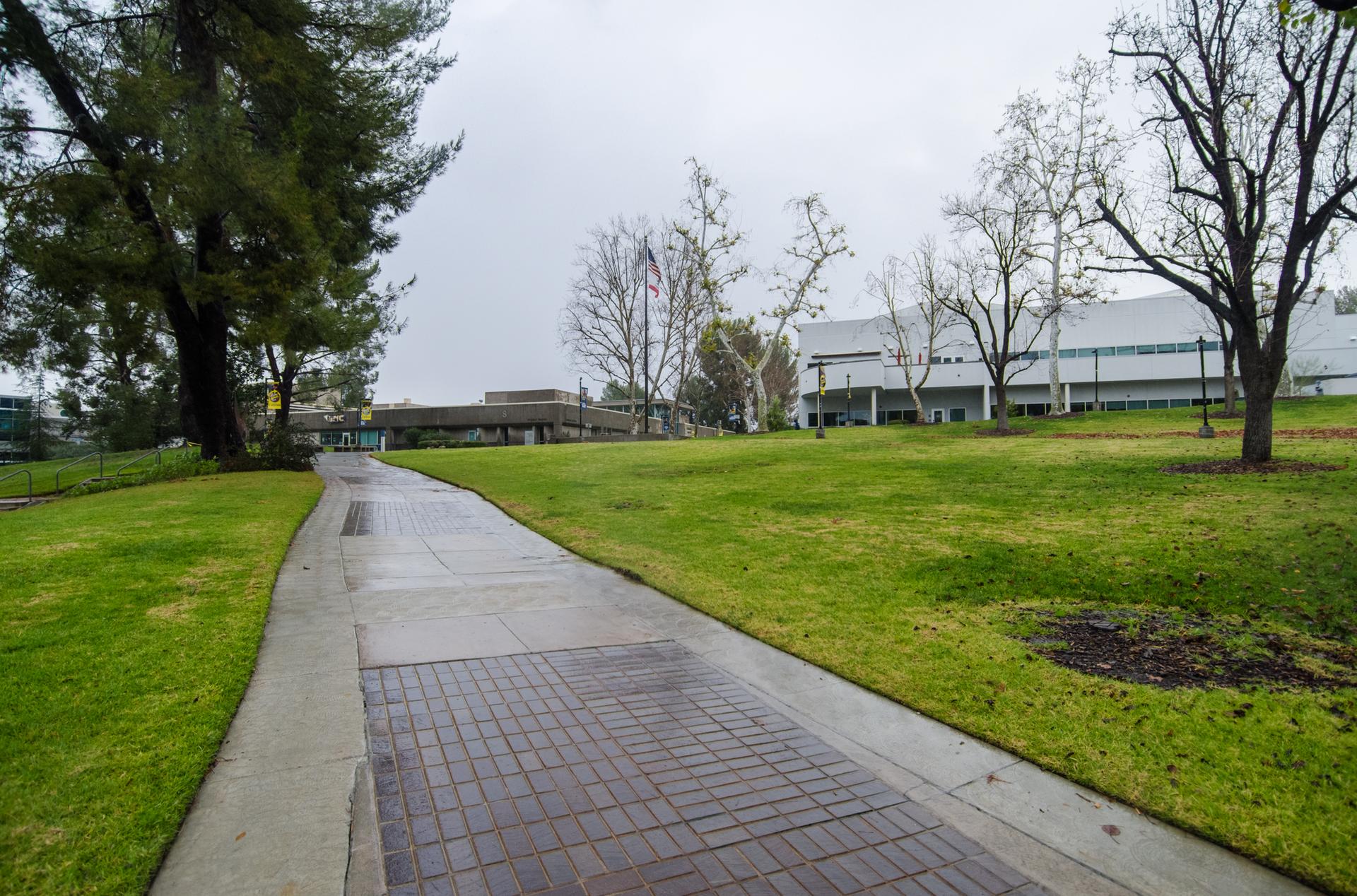 Paved path through a green lawn with trees and modern buildings.