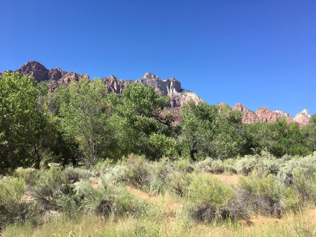 Lush green trees and shrubs in foreground with towering red rock mountains behind.