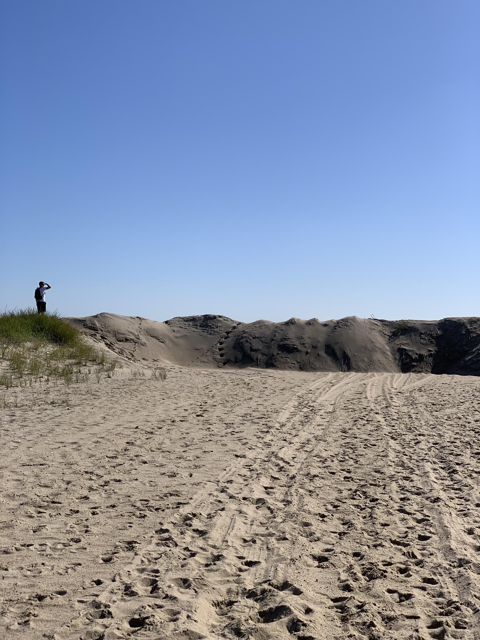 Sunny day on vast sand dunes with a person looking out.