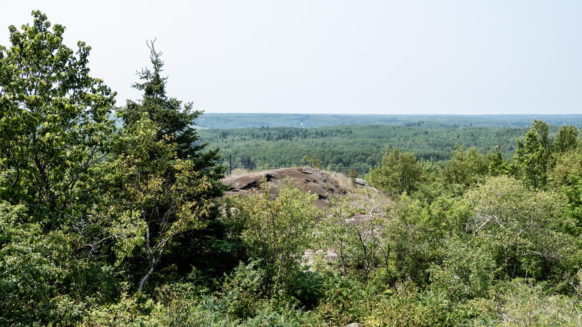 Dense green forest with a rocky hill under a bright, clear sky.