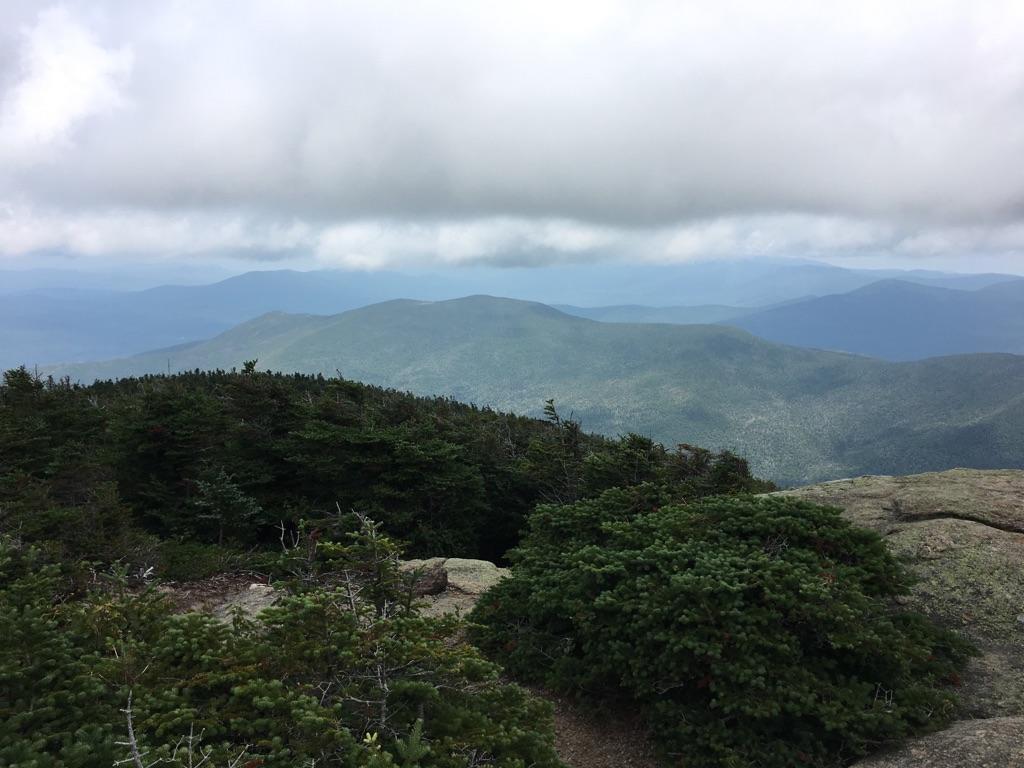 Dense evergreen trees overlooking hazy distant mountains under a cloudy sky.