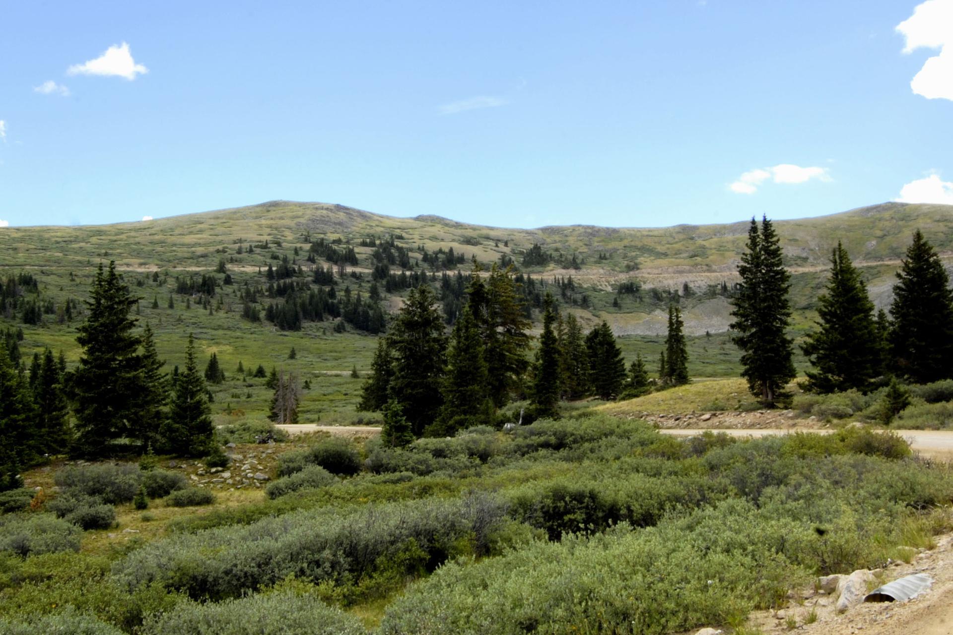 Sunny mountain landscape with green hills, scattered pine trees, and a dirt road.