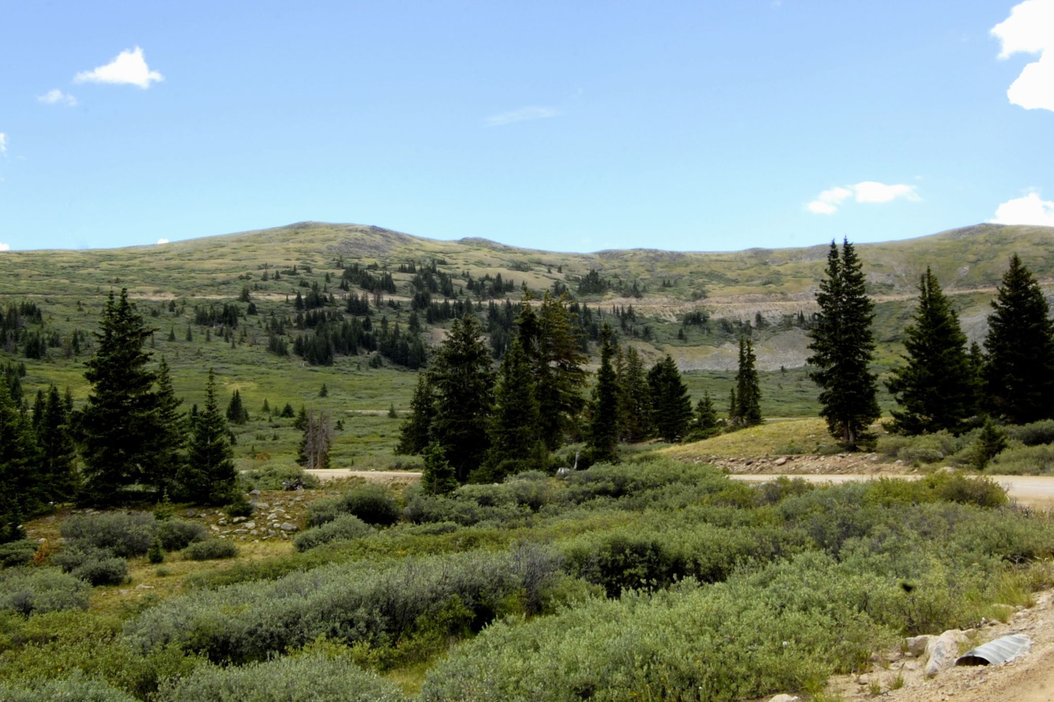 Sunny mountain landscape with green hills, scattered pine trees, and a dirt road. - Taylor Park Reservoir via Taylor Park River Road gravel