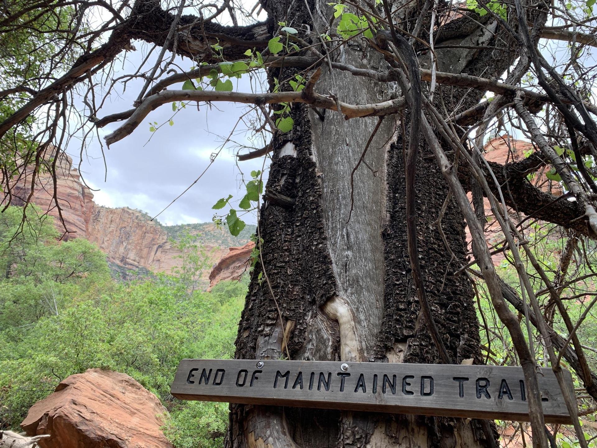 Weathered tree trunk with "END OF MAINTAINED TRAIL" sign, red rocks in background.