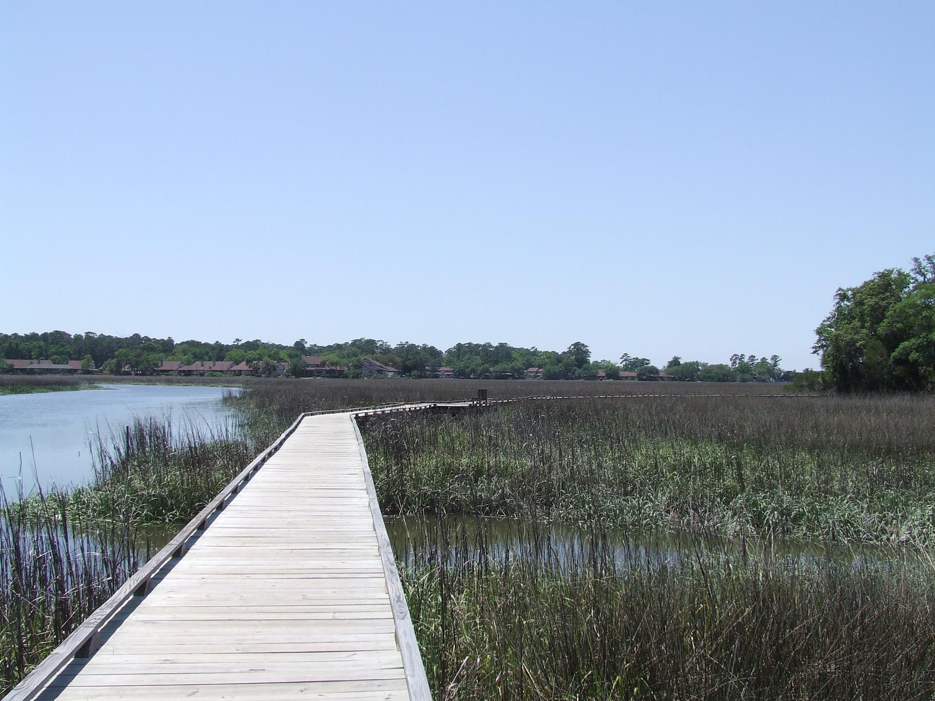 A wooden boardwalk curves through a sunny marsh with water and distant trees.