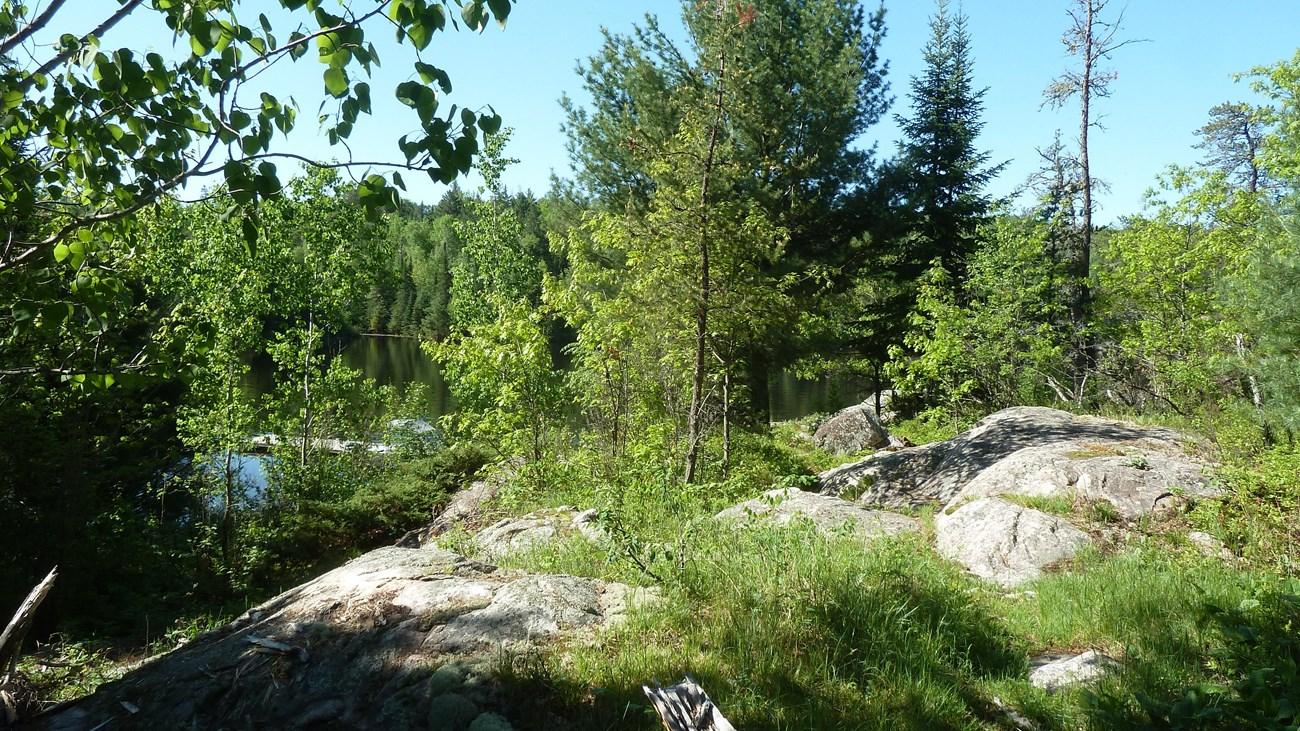 Sunny forest scene with large rocks and a glimpse of a lake.