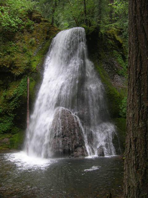 A powerful waterfall plunges into a dark pool surrounded by lush green forest.
