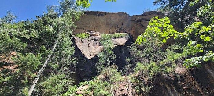 Large rock overhang above a lush green forest on a bright, sunny day.