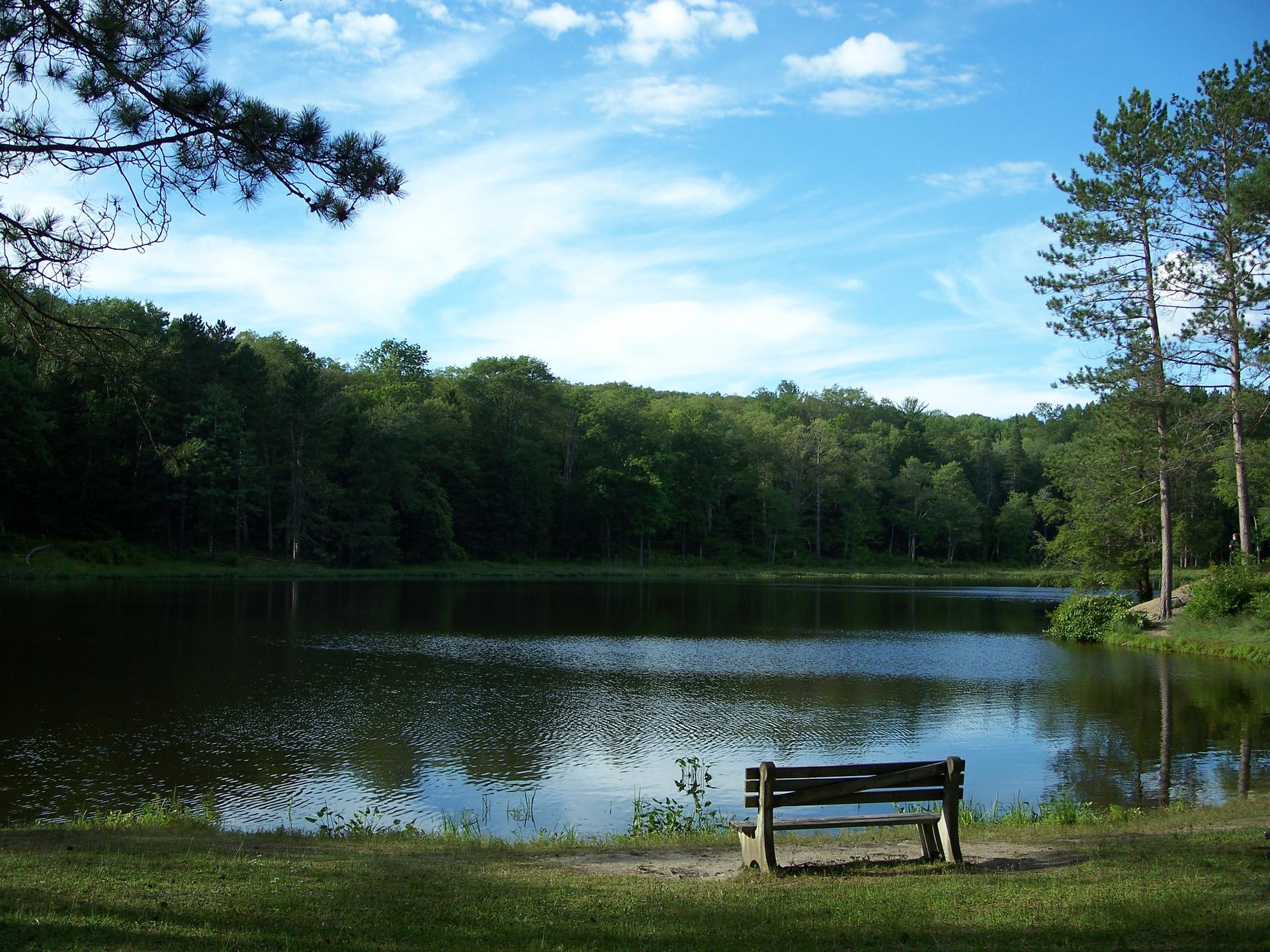 A wooden bench overlooks a calm lake surrounded by green trees.