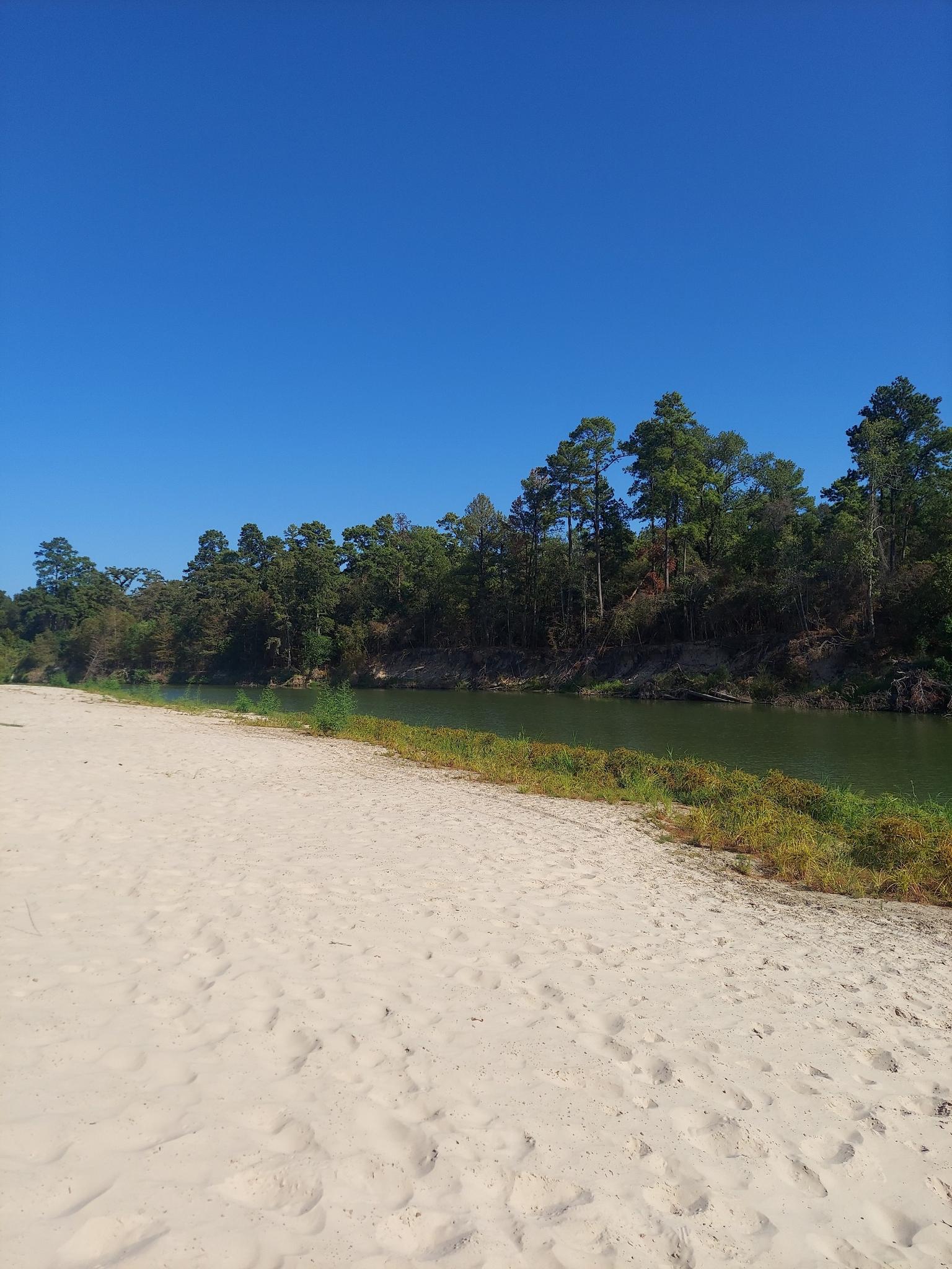 Wide sandy beach beside a green river and dense forest under clear blue sky.