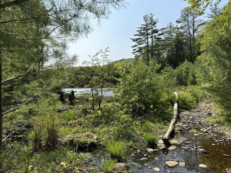 Thomas and Cat Mountain Loop — Lake George Wild Forest | hike | Komoot