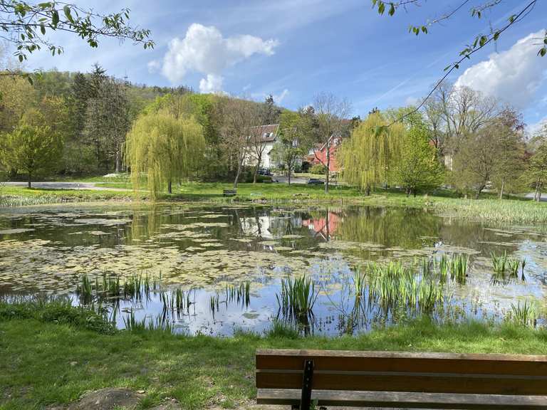 Kleines Biotop Wanderungen und Rundwege komoot