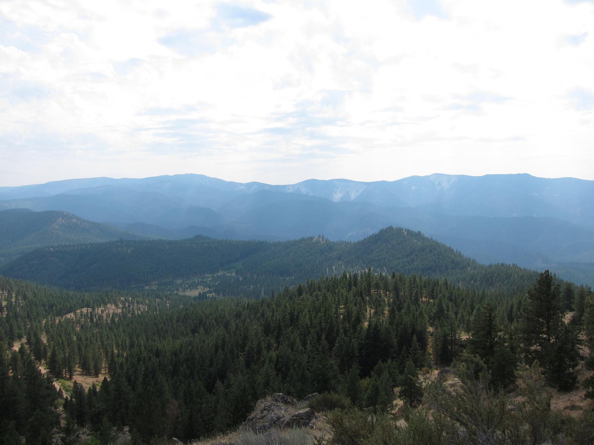 Vast mountain landscape with dense pine forests under a bright, cloudy sky.