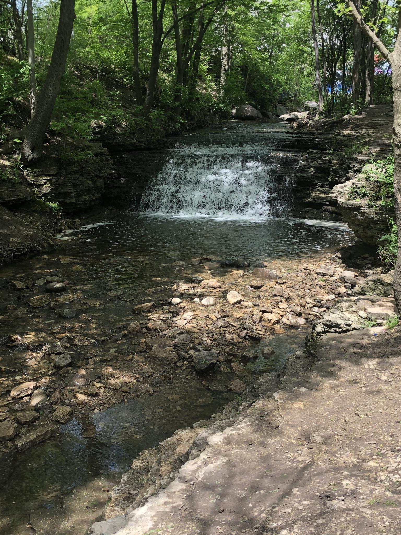 A small waterfall cascades into a rocky stream in a sunlit forest.