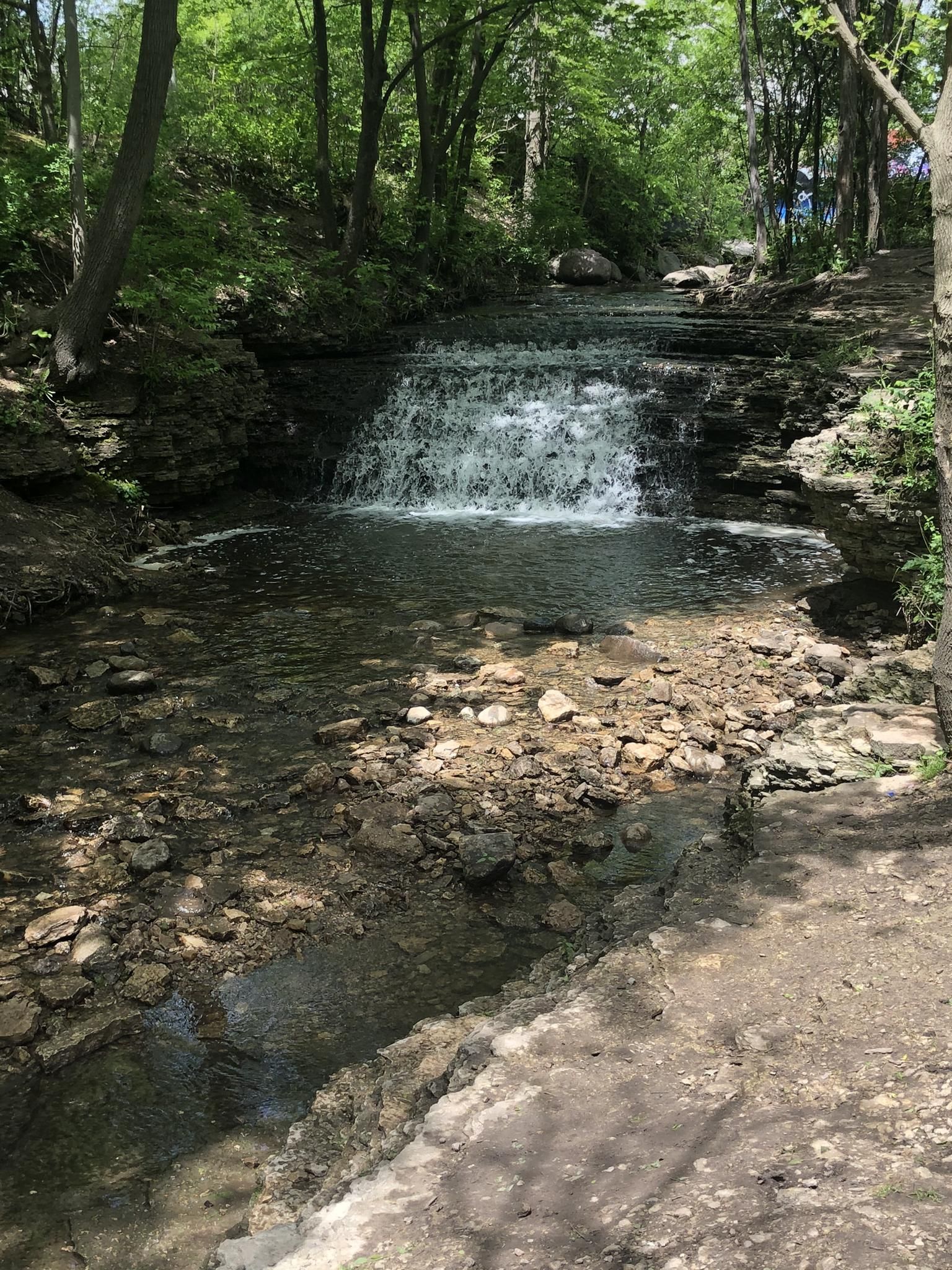 A small waterfall cascades into a rocky stream in a sunlit forest. - River Bend Trail
