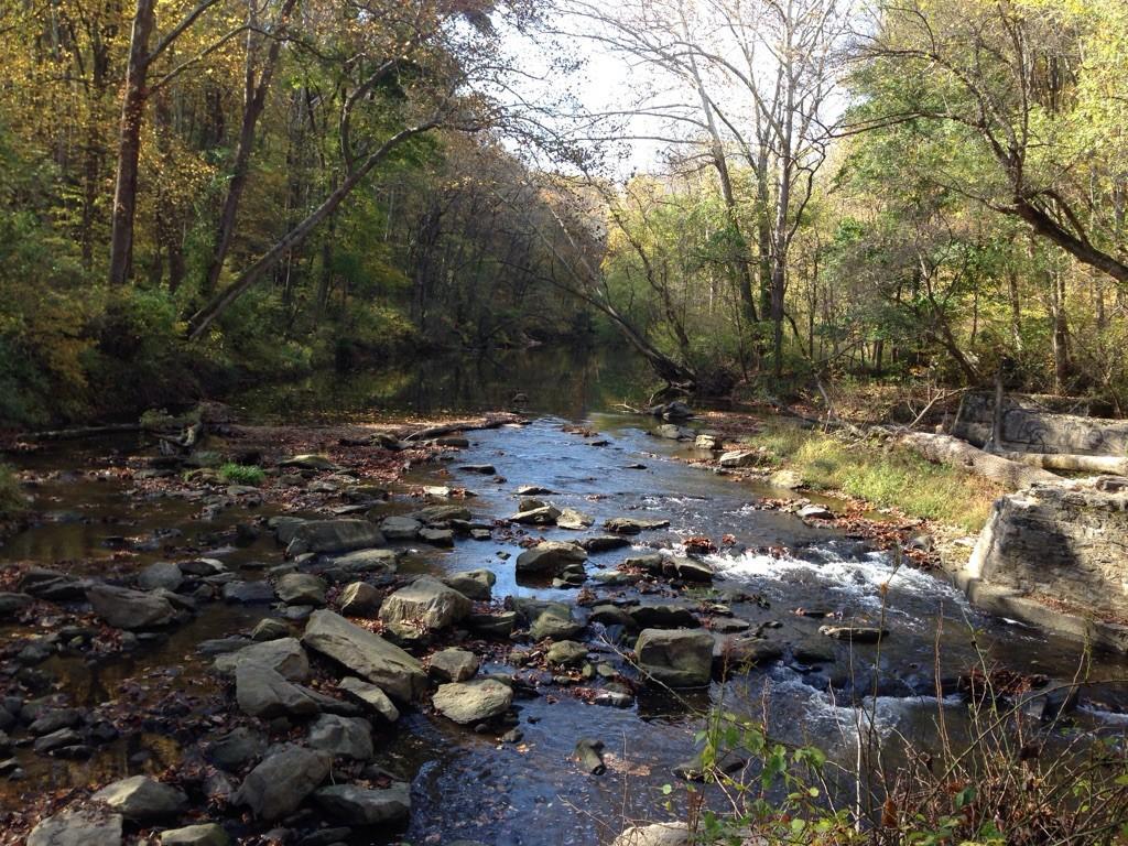 Rocky river flowing through a sunlit forest with autumn-colored trees.