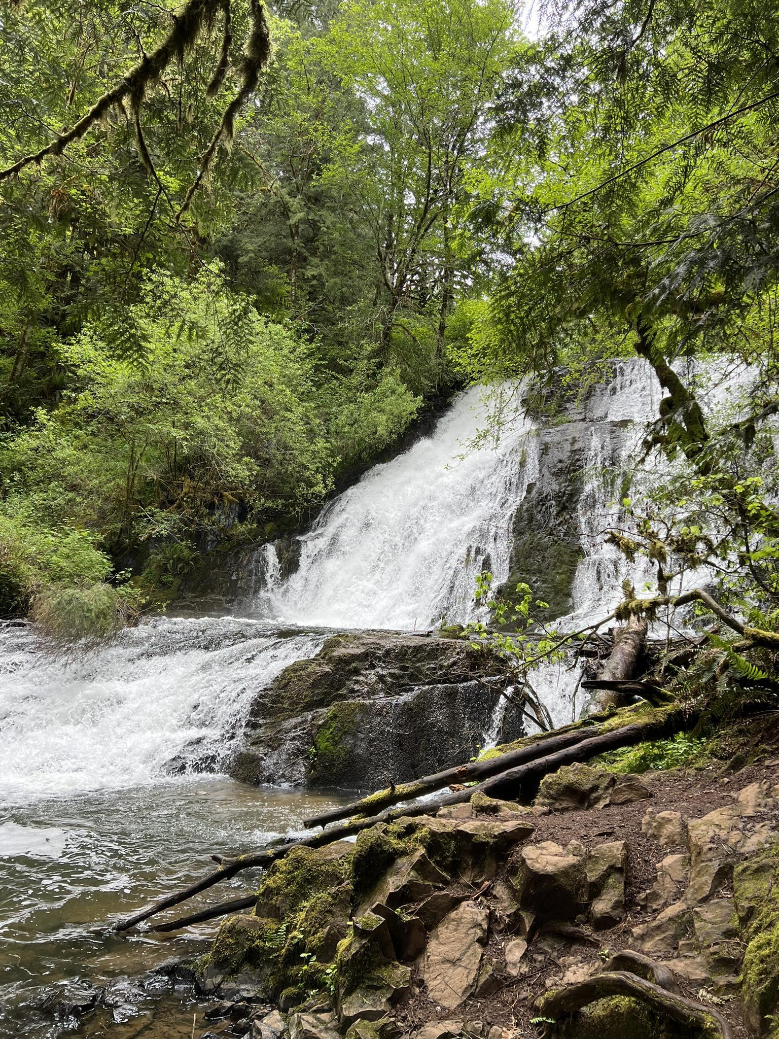 A multi-tiered waterfall cascades through a lush green forest on an overcast day.