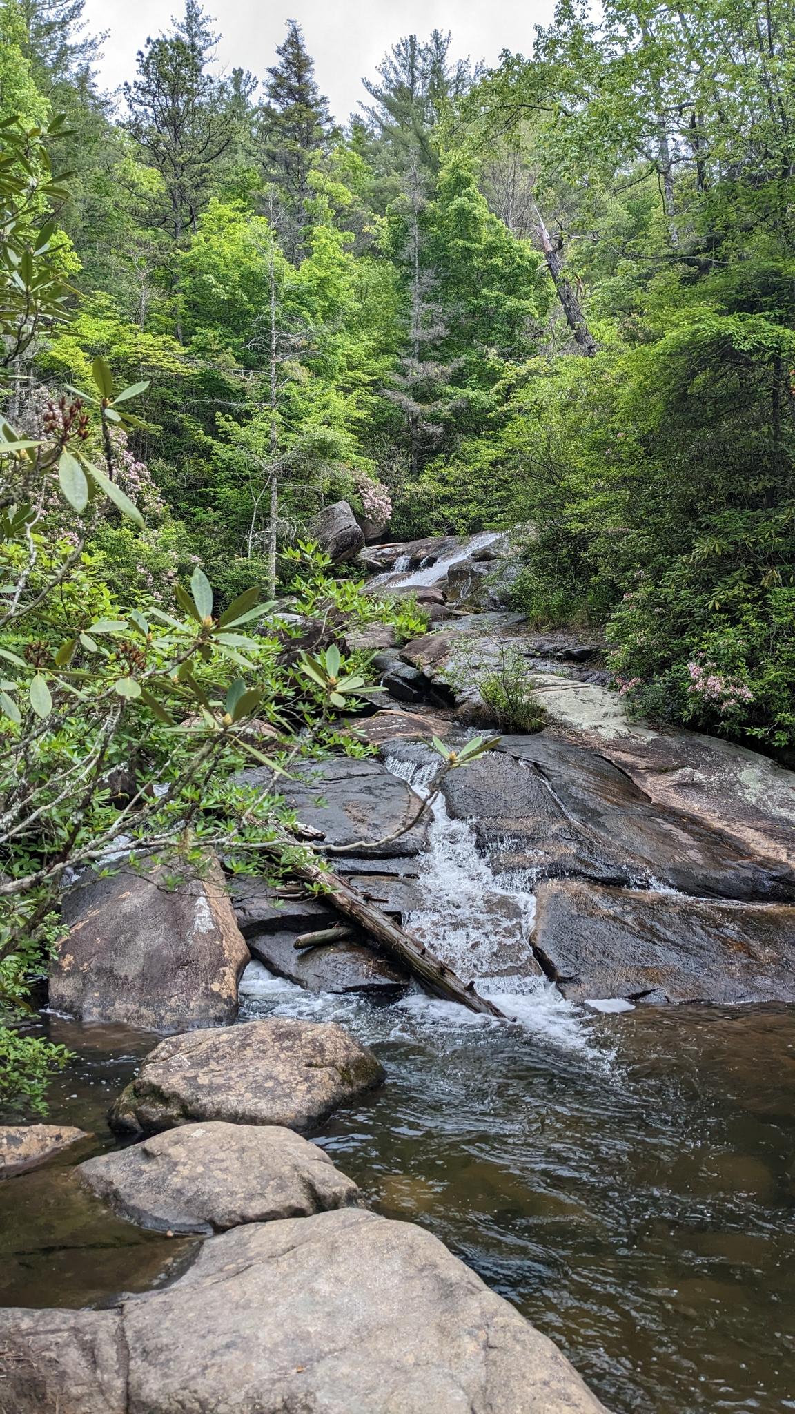 Waterfall cascading over dark rocks amidst a dense green forest.