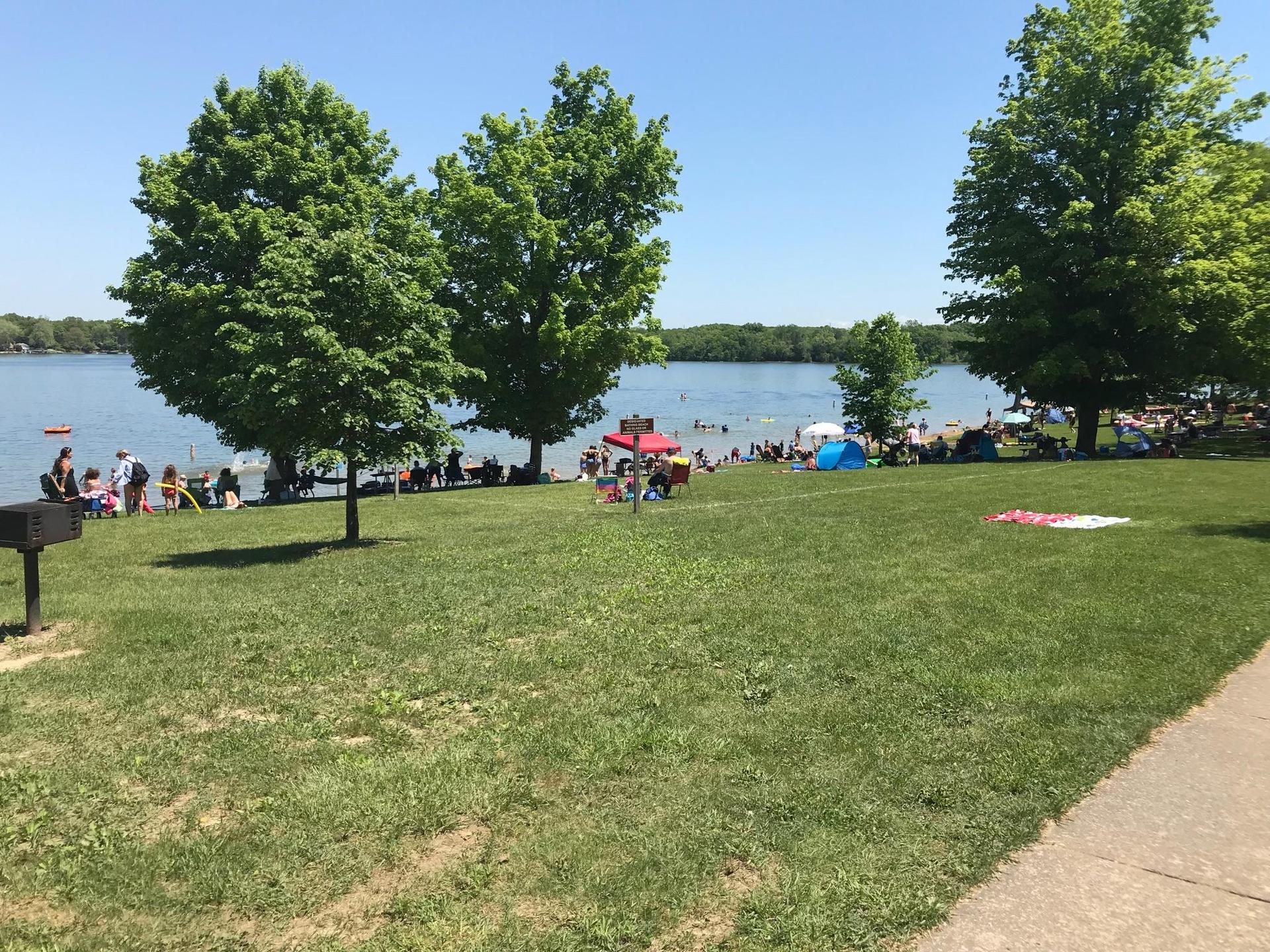 A grassy lawn with people relaxing by a lake, surrounded by trees.
