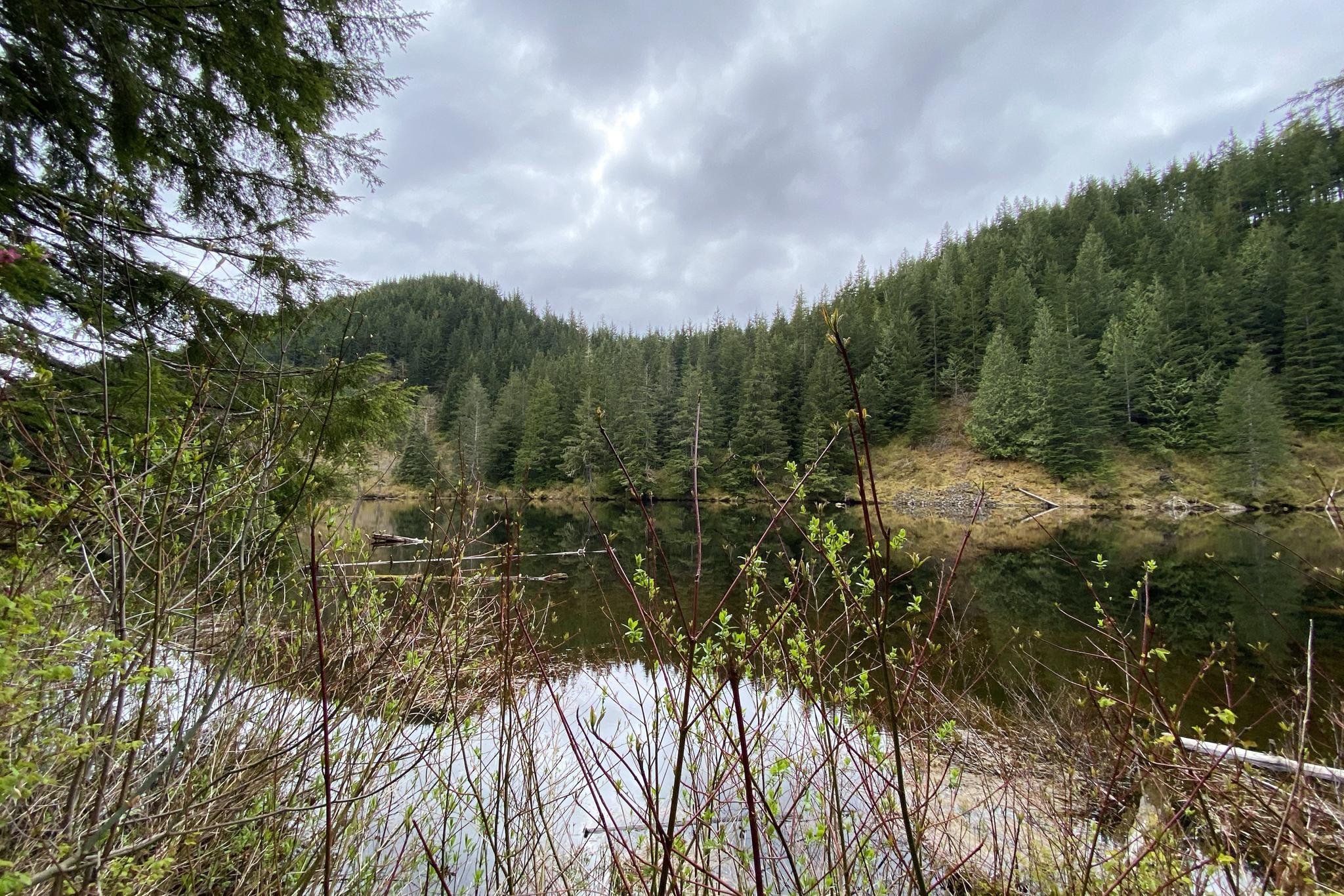 Cloudy view of a lake surrounded by dense green forested hills.