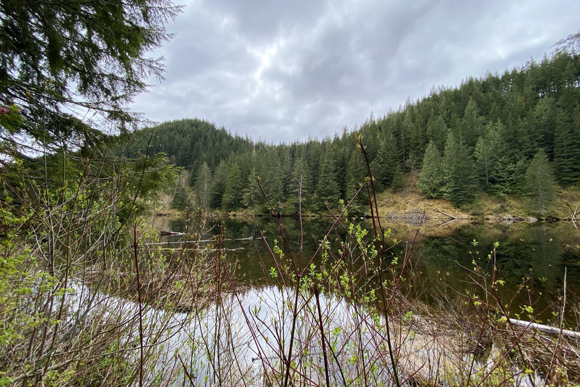 Cloudy view of a lake surrounded by dense green forested hills.