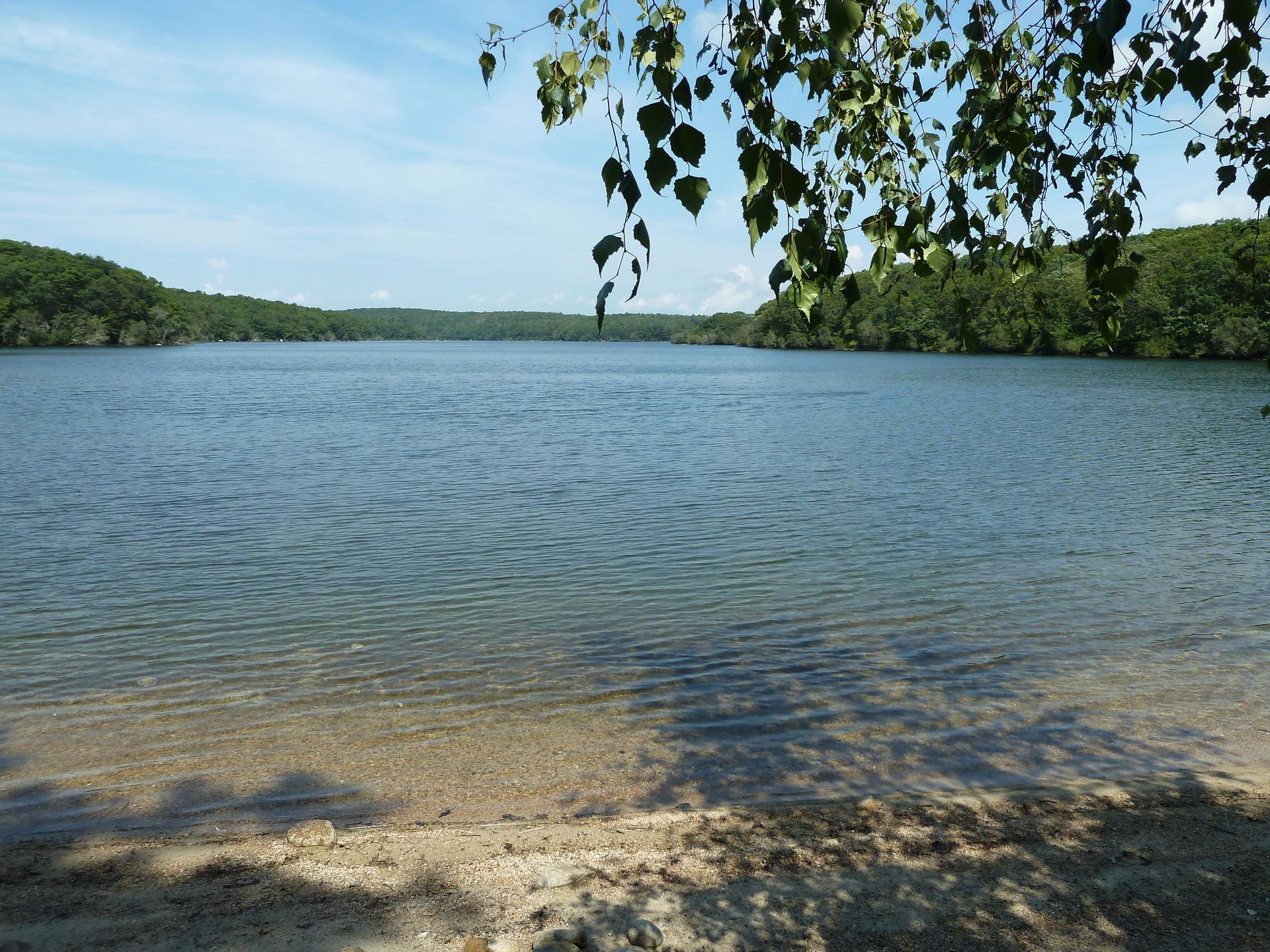 Calm lake with a sandy shore, framed by green trees on a sunny day.