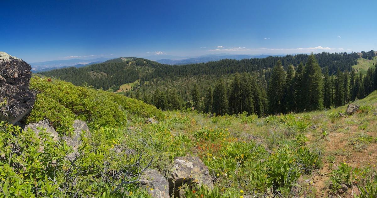 Panoramic view of sunny green mountains and dense forests under a clear blue sky.