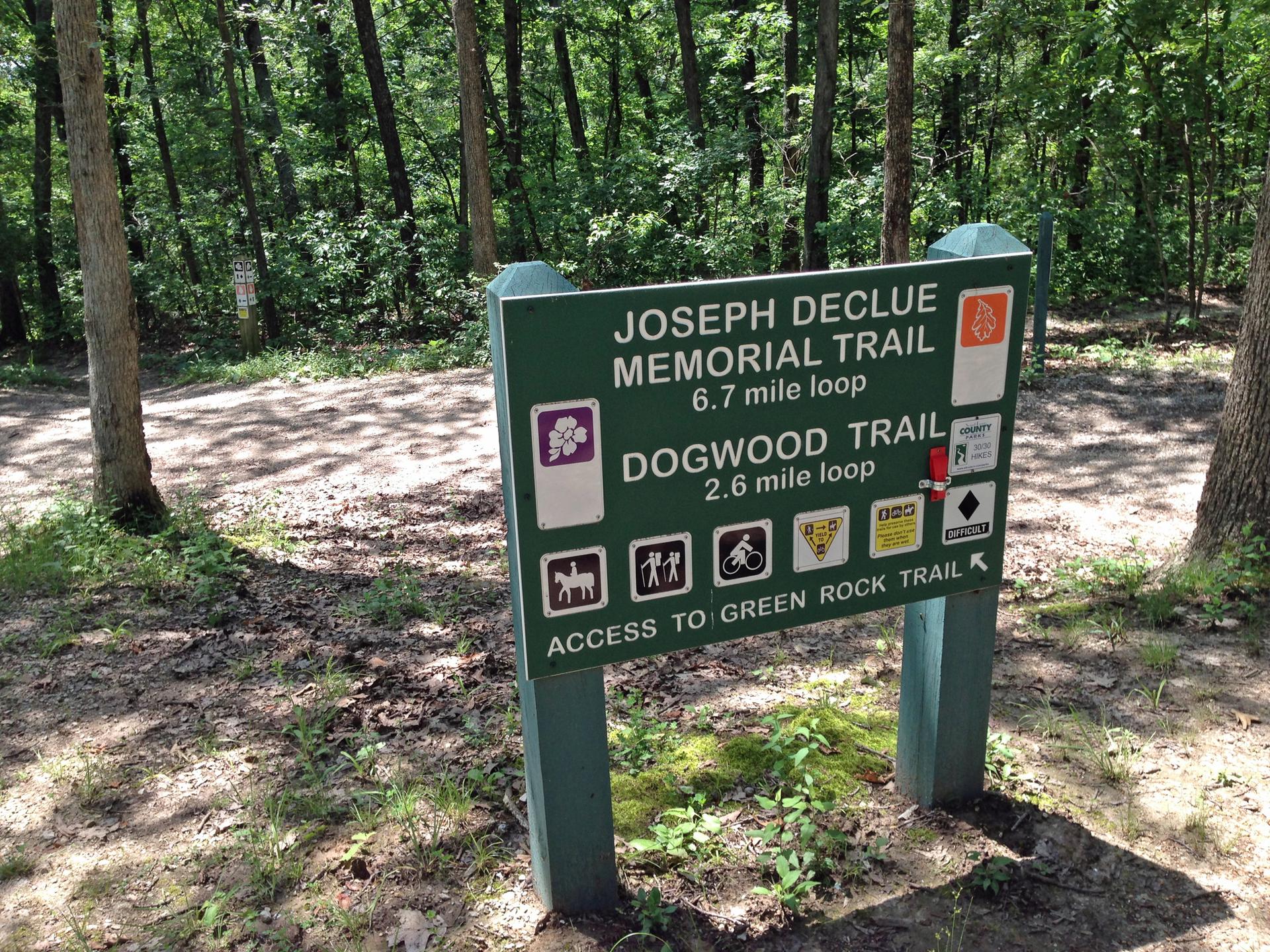 Green trail sign in a sunny forest with tall trees.