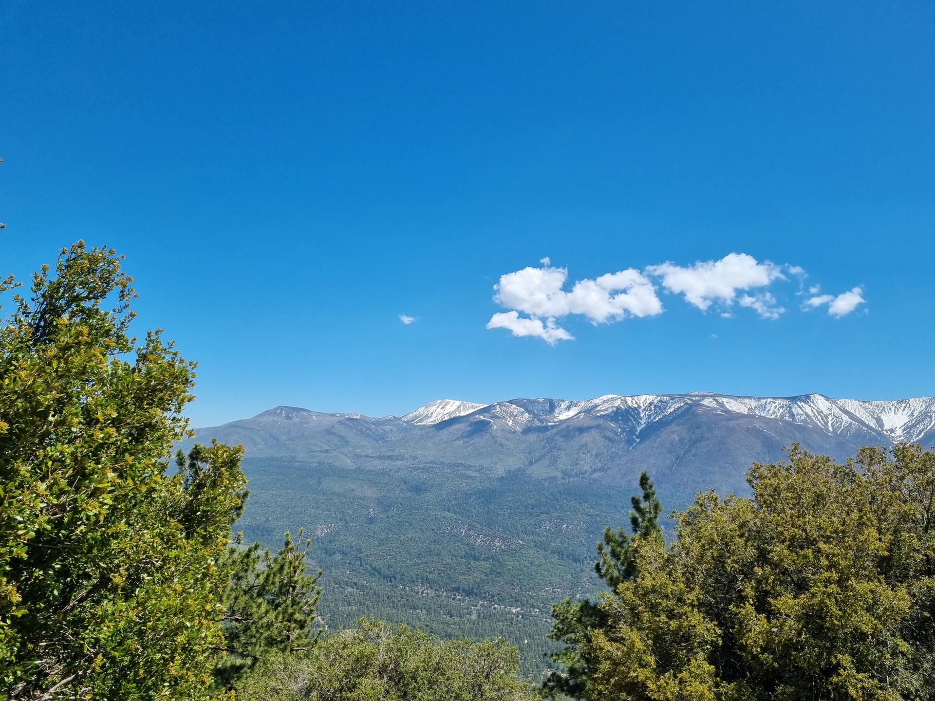 Distant snow-capped mountains under a clear blue sky, framed by green trees.