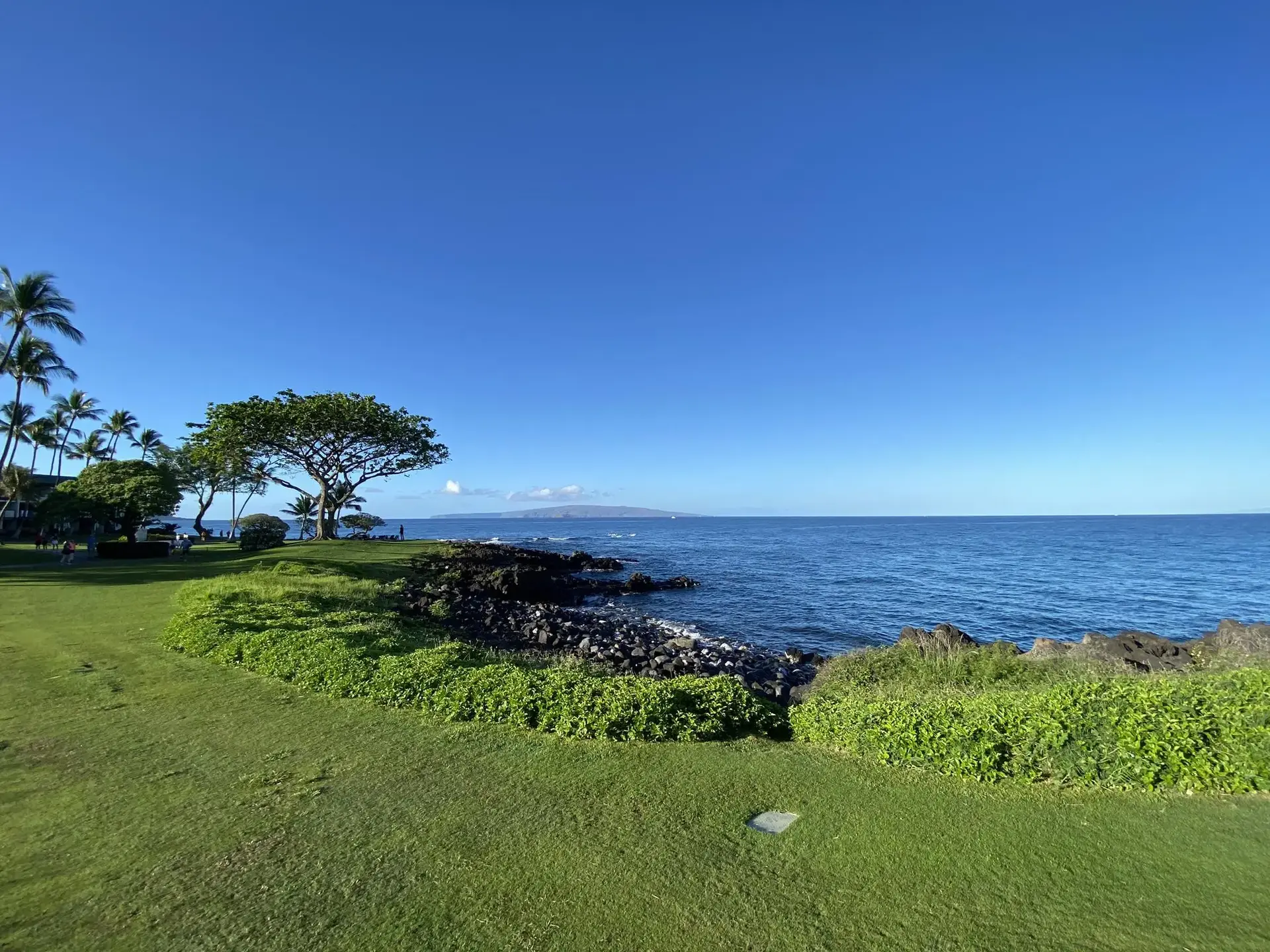 Lush green lawn and rocky coastline meeting a calm blue ocean.