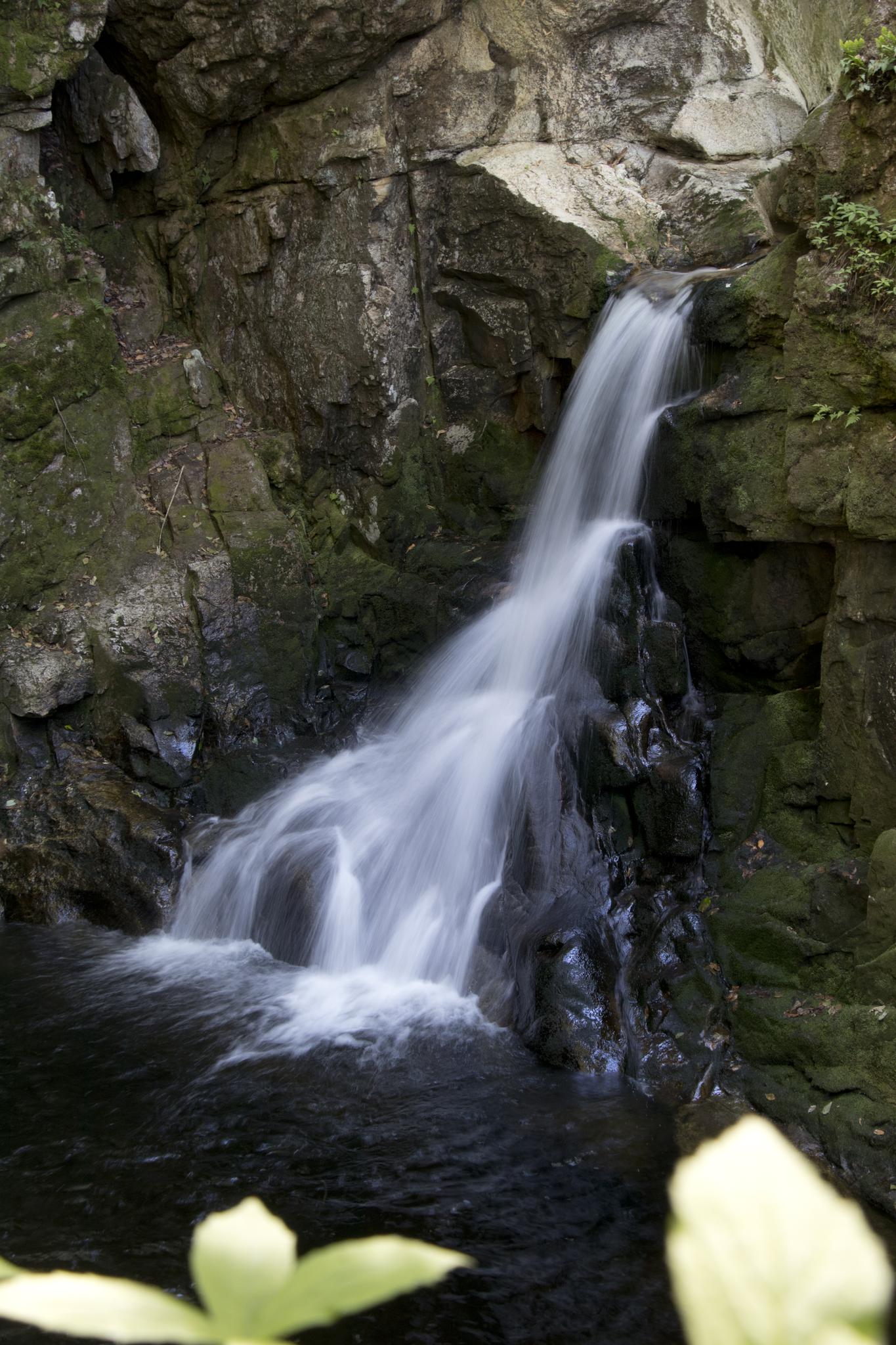 A waterfall cascades down mossy rocks into a dark pool, with soft lighting.