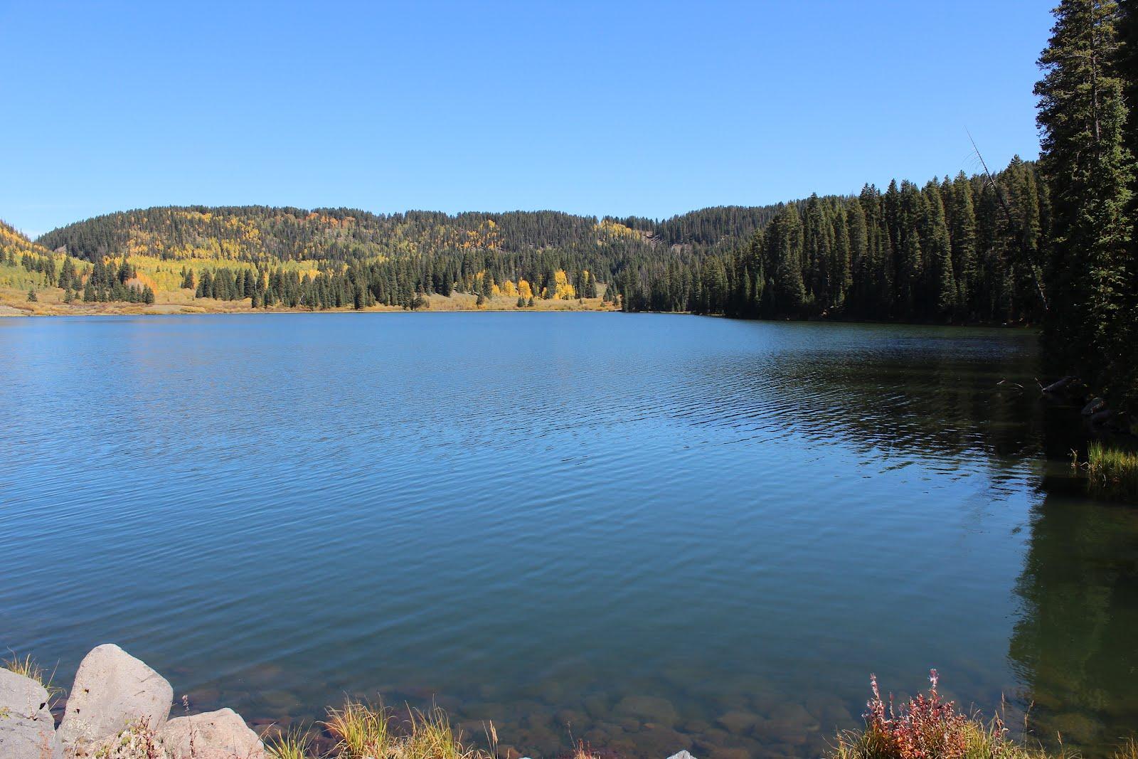 A serene lake surrounded by forested hills under a clear blue sky.