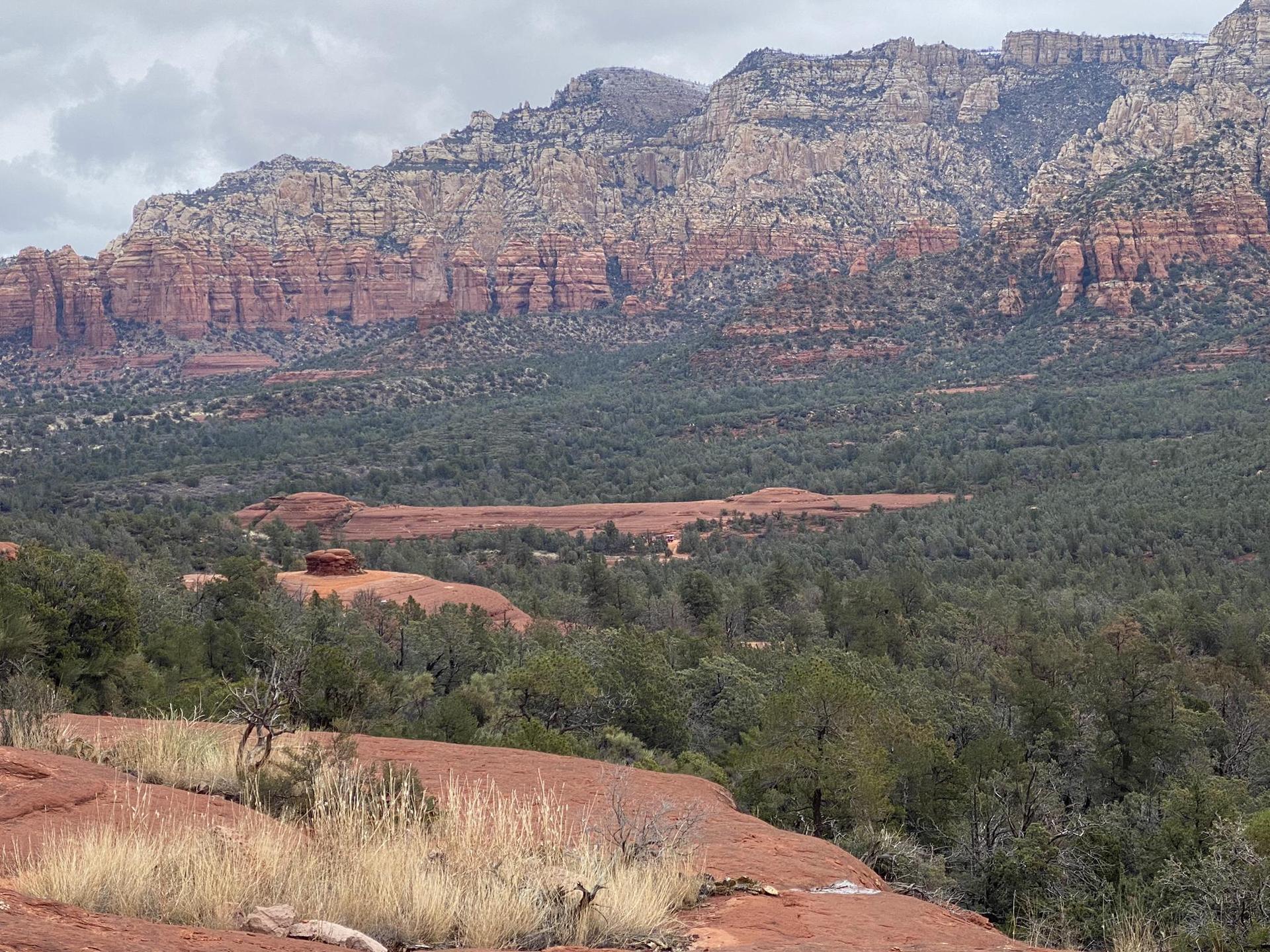 Overcast view of a wide valley with red rock mountains and green forest.